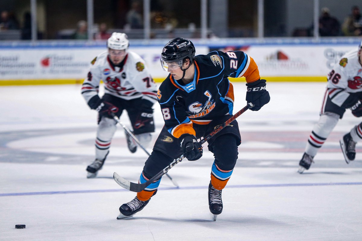 SDGullsAHL's tweet photo. Second period incoming.
πΊ: https://t.co/Hoxlp2SvCh
π»: https://t.co/Zex9KJhaze
#LetsGoGulls | #SDvsRFD https://t.co/NMPYc9v8fb