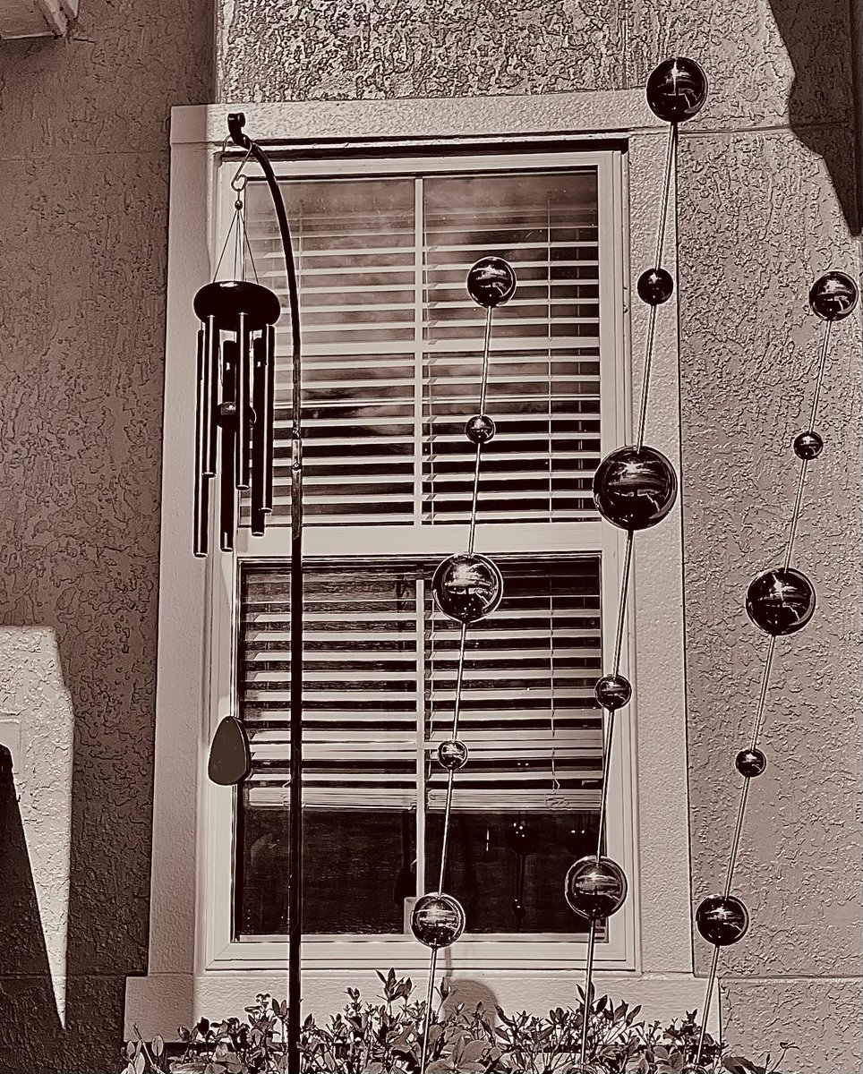 thesearcyshow tweet media