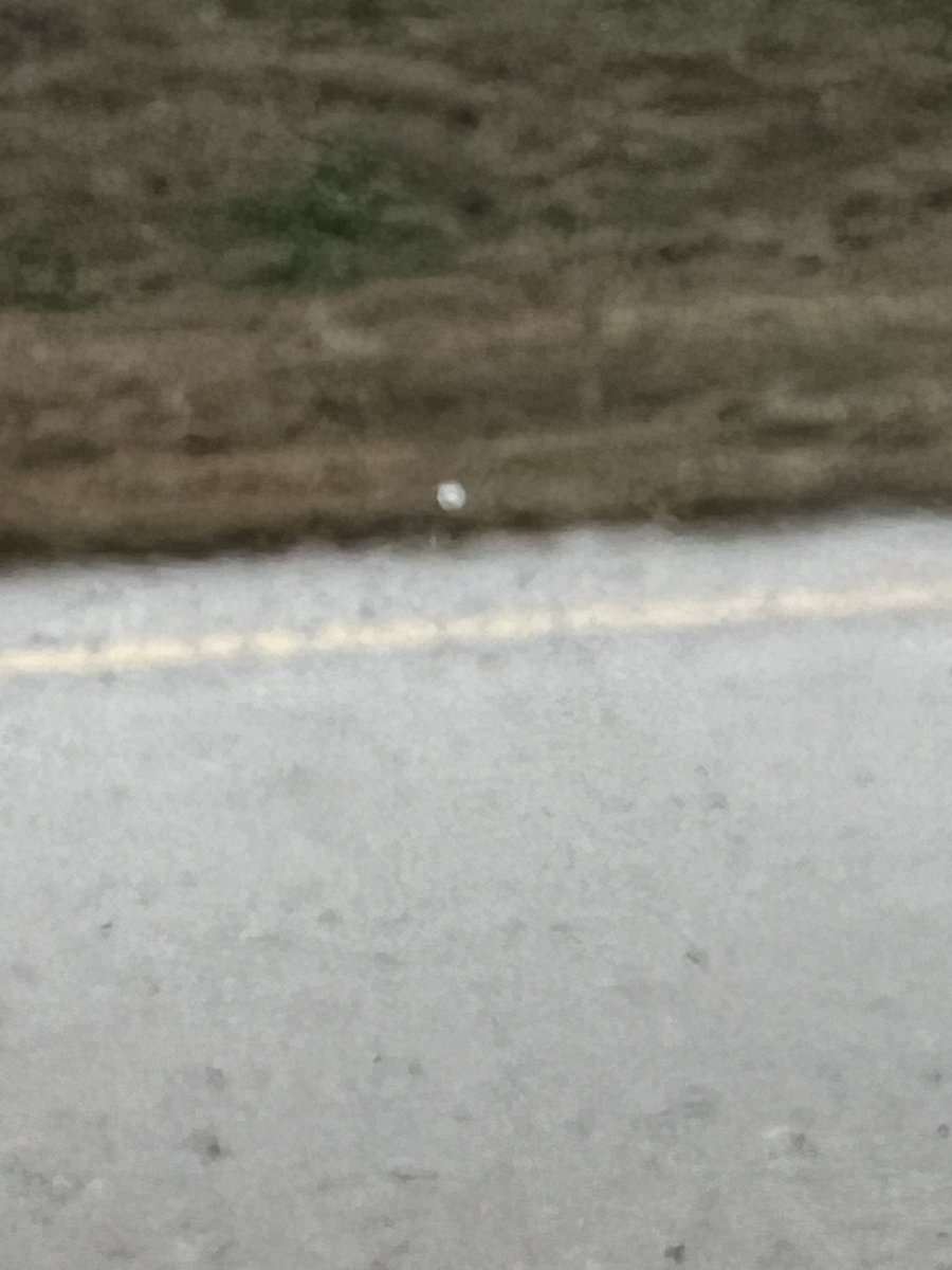 MemphisJeepGuy's tweet photo. @NMSCAS @NWSMemphis @matt_laubhan @GabeWTVA @SunnyD_wx Distant shots of two golf ball sized ones in senatobia. https://t.co/rZFYNzHuDl