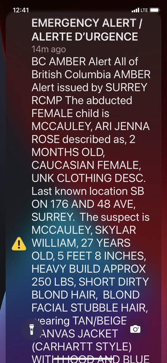 Why do so many of these #AmberAlert messages feature a child and an adult with the same last name? Is this the child's father? Is this a child custody dispute that perhaps should be settled in court and not blasted out to everyone's cellphones as an emergency alert? #CryingWolf