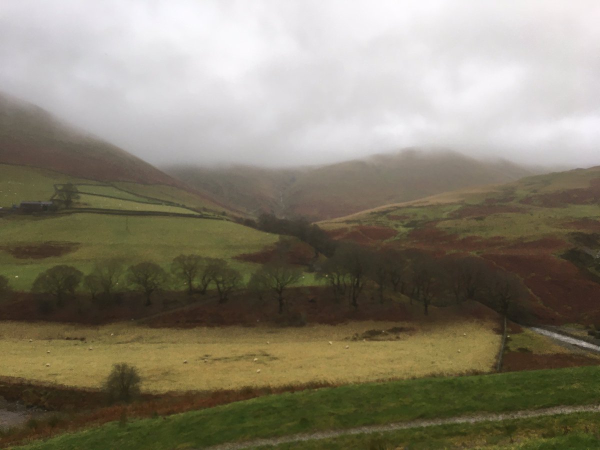 Today we had a consultant visit the farm funded by @DefraGovUK to talk to us about making the farm resilient for the future. We can have up to 12 hours of free business advice.