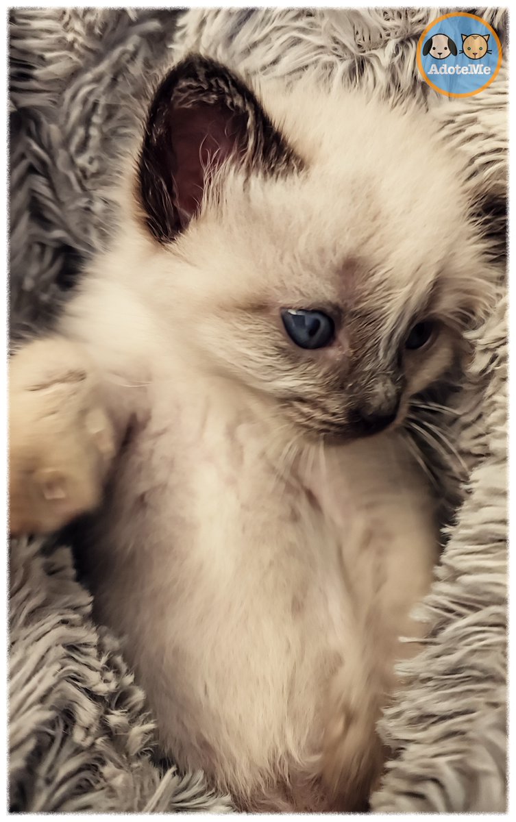 Tô bunitu na foto? 😁

✅ Sim, muito!
✅ Com certeza!