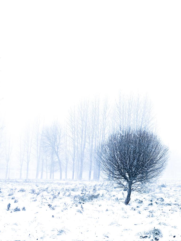 vesna_mart's tweet photo. #Photo #landscape #modernphoto #art
Today https://t.co/WQi70X5BAi