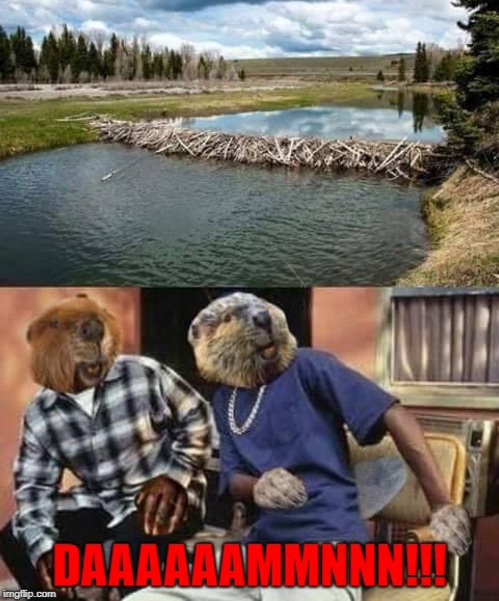 Shawn Fredrickson tweet media