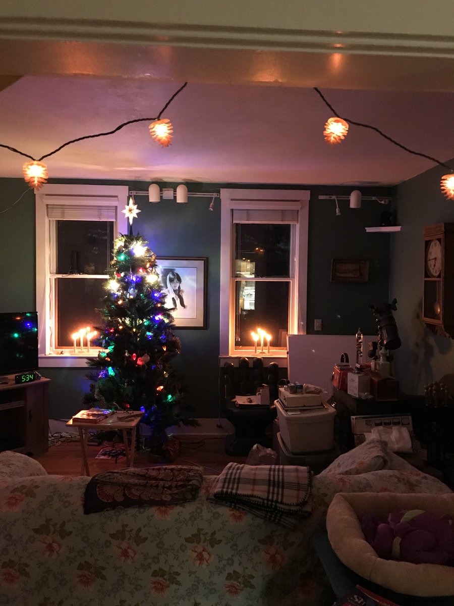 #XmasDecorations! Just a few more from Christmas Past at home. Here are overall views of outside & inside of our house from a few years ago.

We kitties hope you’ve enjoyed our decorations. From tacky to sublime, we’ve got the full range!🎄🎅😻🧑‍🎄😺