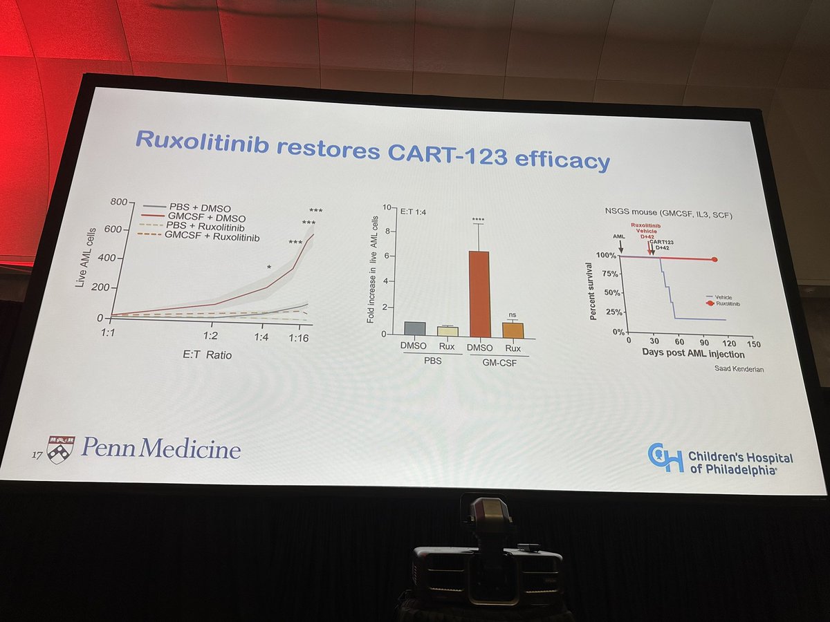 hemedoc's tweet photo. #ASH23 #leusm #celltx Bhagwat: increased pSTAT5 in AML cells during course of CART response. Ruxolitinib can abrogate protective effect of the myeloid cytokine mediated signaling that increases resistance to apoptosis in AML blasts. https://t.co/EFjuL33Mk4