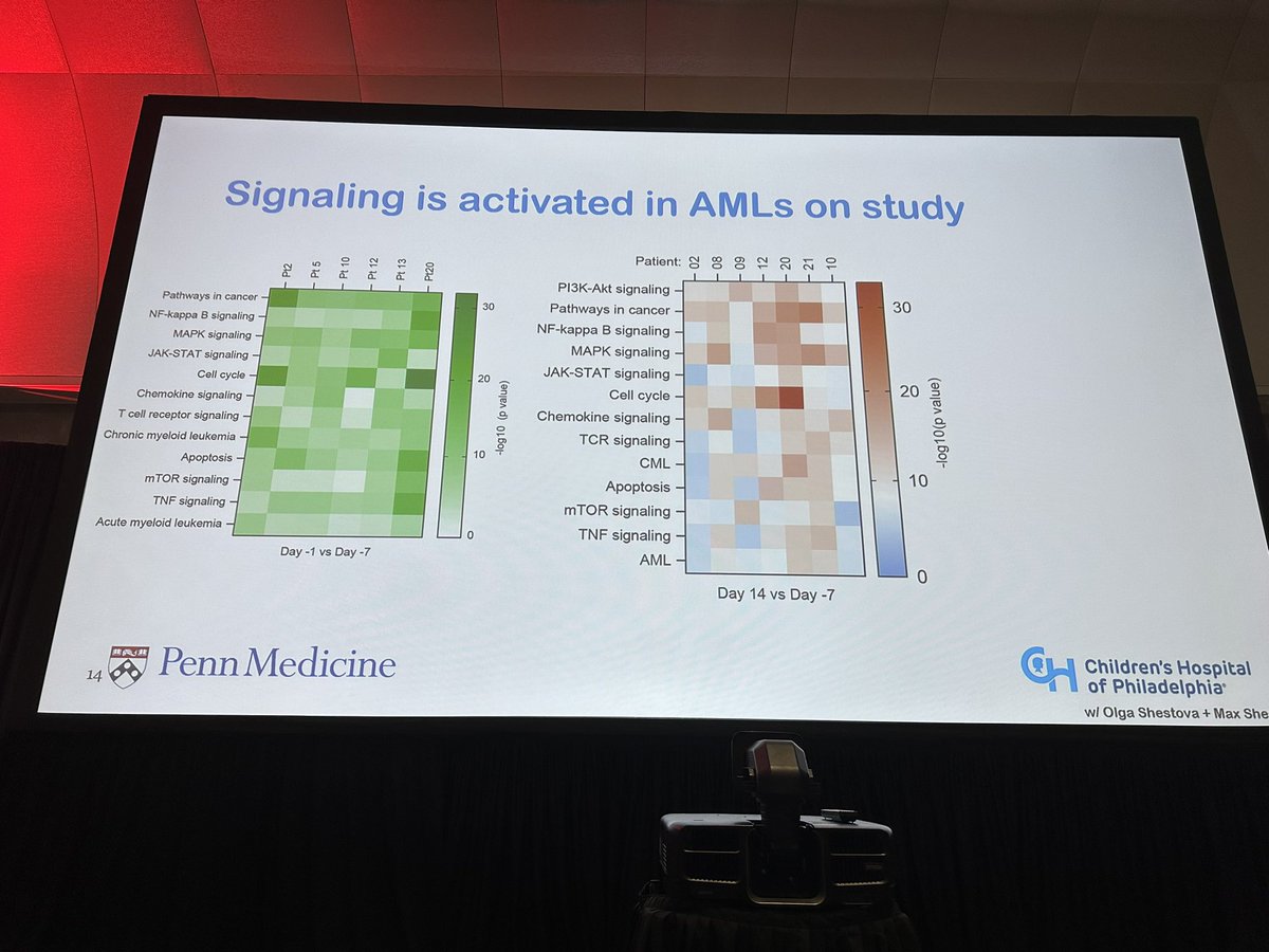hemedoc's tweet photo. #ASH23 #leusm #celltx Bhagwat: increased pSTAT5 in AML cells during course of CART response. Ruxolitinib can abrogate protective effect of the myeloid cytokine mediated signaling that increases resistance to apoptosis in AML blasts. https://t.co/EFjuL33Mk4