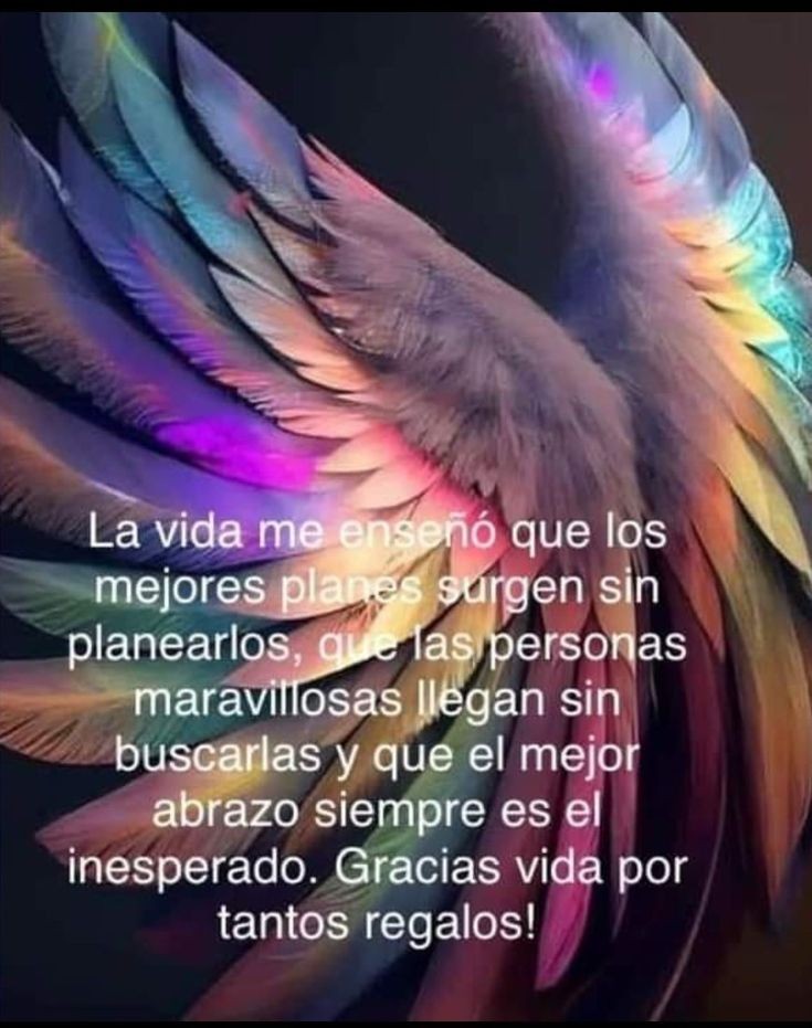 Silvia Velazquez (@silviav28) on Twitter photo 