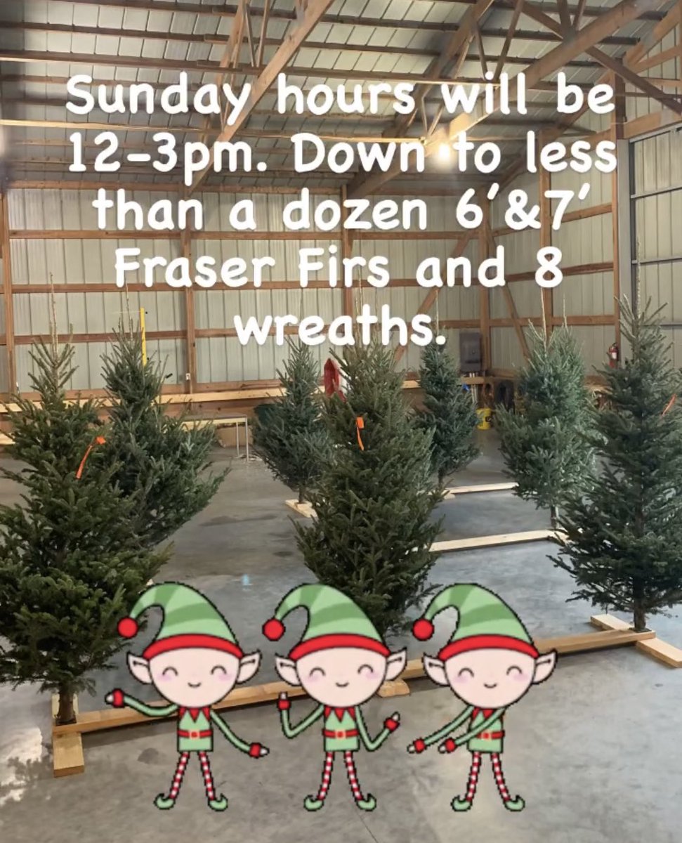 4EvergreenTree's tweet image. 