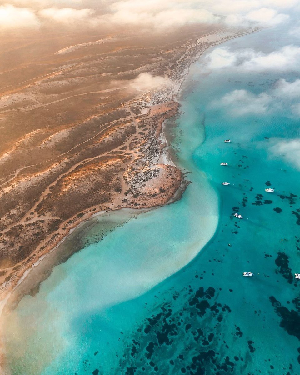 WestAustralia's tweet image. Discover the enchantment of Coral Bay 🪸 home to the World Heritage-listed Ningaloo (Nyinggulu) Reef where white sands and turquoise waters create a nature lover's paradise. Get dreaming: bit.ly/3RvvezS

📸: @cjmaddock/IG in #WAtheDreamState @thecoralcoast
