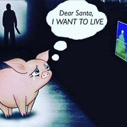 veganfuture's tweet photo. https://t.co/PnipQLUB02