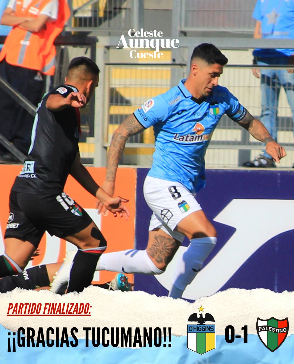 cac_ohiggins's tweet image. #Fecha30 💔 | Ante 8.729 espectadores, y en la despedida de Pedro Pablo Hernández, O&apos;Higgins no pudo ante Palestino y finalizó su participación en el Torneo Nacional. ¿Que te pareció el partido? 👀

#CelesteAunqueCueste ✍🏼