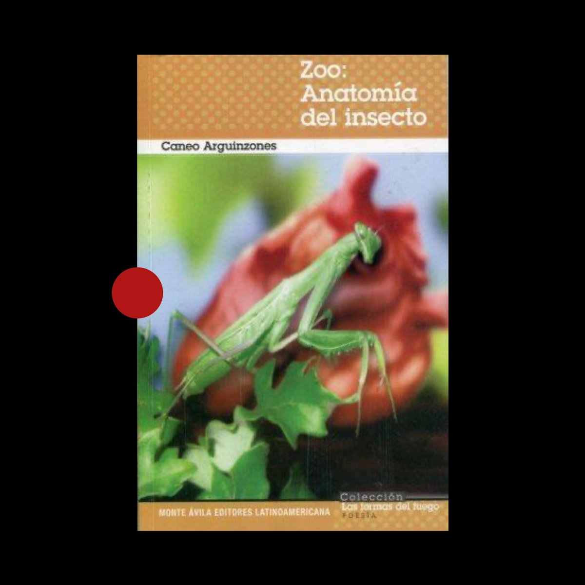 «Zoo: Anatomía del insecto» (2013) de Caneo Arguinzones disponible para descarga gratuita en @PoetasVEN