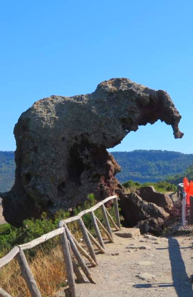 CristinaShonny's tweet image. #RocciadellElefante
#Castelsardo
Buona domenica a tutti.