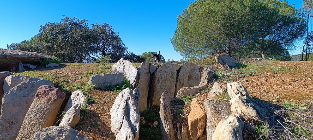 Arturodelp's tweet photo. 🏛️ Conjunto dolménico de El Pozuelo (Zalamea la Real, Huelva), con 7000 años de historia, puede ser el más antiguo, junto alguno portugués, de la P.I. Datan del Neolítico Reciente y su ubicación está muy relacionada con el control territorial y la familia clánica. Un espectáculo! https://t.co/U0KVTEaux9