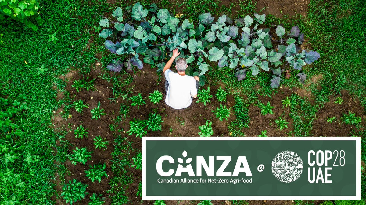 #CANZA is a ground-breaking, national alliance uniting #AgriFood value chain stakeholders across Canada. And today, we introduce CANZA to the world at #COP28.

Learn more about CANZA + this announcement here (LINK): canza.ca/allnews/canza-…