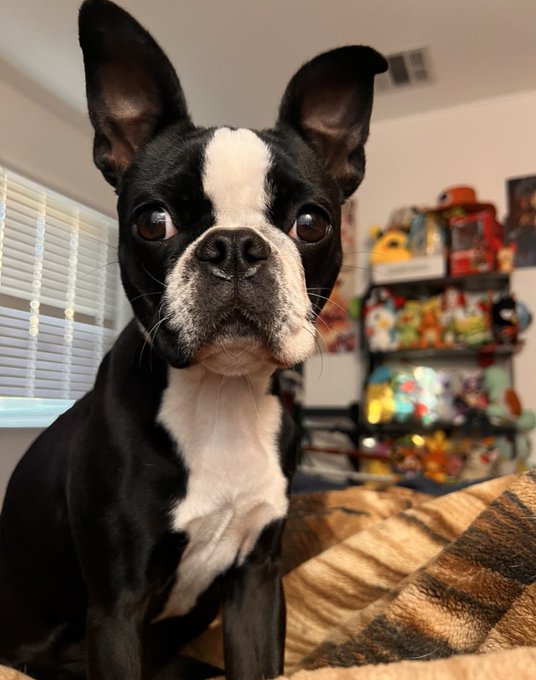 i miss you https://t.co/ynHEZpQL85