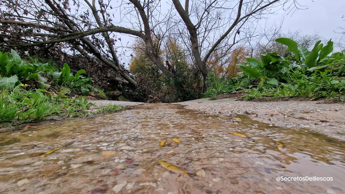 Secretoillescas's tweet photo. Ruta Embarrada Helada

#FelizJueves  #RutasIllescas  
#Illescas #Otoño #Diciembre
#Campos #Caminos #nature 
#respirar  #rutasconencanto 
#Deporte #fotografia  
#senderismo  
#fotografiamovil 
#Paisaje #Fauna
#Naturaleza #Relax 
#desconexion #Toledo
 #Estoes_CastillaLaMancha https://t.co/FufsMYTQjX