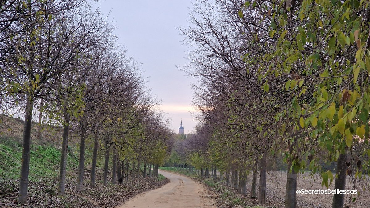 Secretoillescas's tweet photo. Ruta Embarrada Helada

#FelizJueves  #RutasIllescas  
#Illescas #Otoño #Diciembre
#Campos #Caminos #nature 
#respirar  #rutasconencanto 
#Deporte #fotografia  
#senderismo  
#fotografiamovil 
#Paisaje #Fauna
#Naturaleza #Relax 
#desconexion #Toledo
 #Estoes_CastillaLaMancha https://t.co/FufsMYTQjX