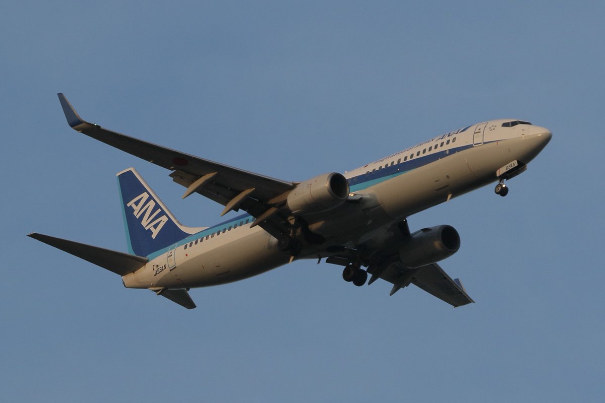 princessarete's tweet photo. #ANA
#NH626
KOJ-HND
#JA68AN
#Boeing737-881 https://t.co/rVHGPV1SM4