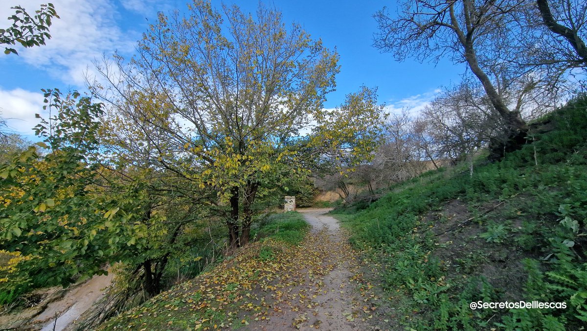 Paseo Otoñal con Magia

#FelizViernes #RutasIllescas 
#Illescas #Otoño 
#ArroyoVedado #Lluvias
#Diciembre #hojasdeotoño 
#Campos #Caminos #nature  
#senderismo #Caminar  
#Paisaje #Fauna
#fotografiapaisaje 
#Naturaleza #Relax 
#desconexion #Toledo
 #Estoes_CastillaLaMancha