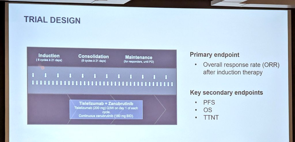majorajay's tweet photo. Tislelizumab+zanu in Richter's #ASH23:
- 48 pts, 80% untreated for RT, 35% TP53mut
- 7 possible irAEs (mostly ⬆️LFTs), 3 Gr5 infx
- ORR 58% (CR 19%), mDOR NR
- mPFS 10 mos (only 7 mos in ITT), mOS NR!
Bridging to allo option? PFS still not great. #lymsm #leusm https://t.co/WhUdl4bCy3