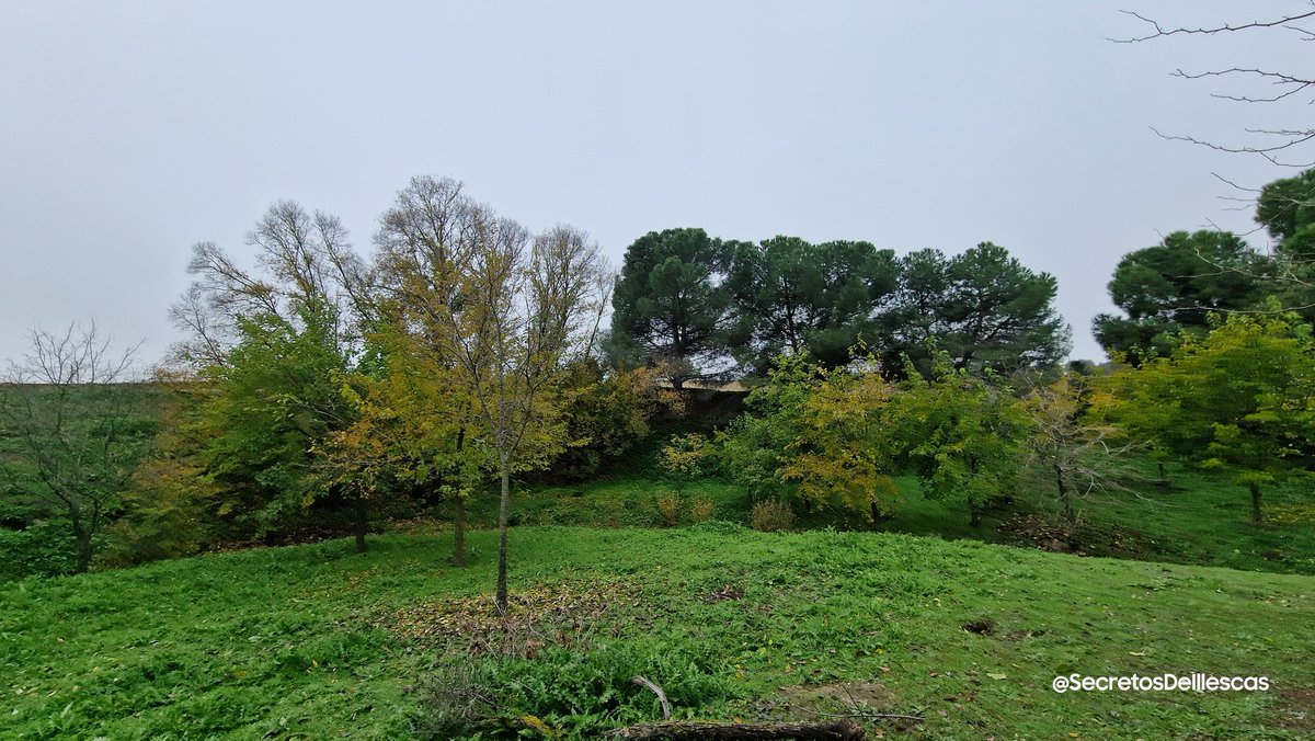 Secretoillescas's tweet photo. Otoño Mágico Arroyo del Cubo

#FelizSabado #RutasIllescas  
#Illescas #Otoño #ArroyoDelCubo 
#Diciembre #hojasdeotoño 
#Campos #Caminos  
#respirar  #rutasconencanto 
#Deporte #fotografia  
#senderismo #Caminar 
#Naturaleza #Relax
#desconexion #Toledo
 #Estoes_CastillaLaMancha https://t.co/2KIxQcsLLN