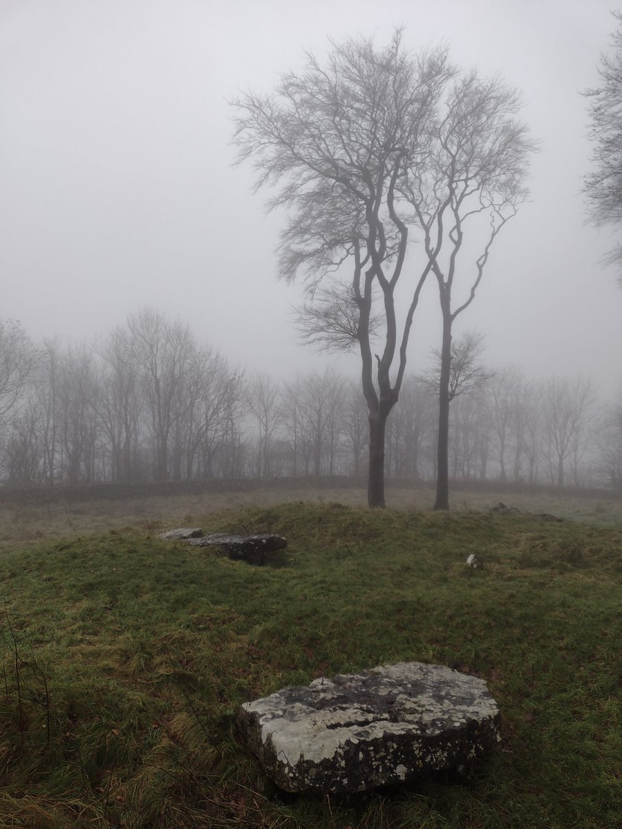 EscapePlan1485's tweet photo. #StandingStoneSunday
Minninglow Hill, Peak District, England. The site is surrounded by a stone wall perimeter, the trees provide height and shelter to the location. Easily accesible by foot from the Minninglow parking on the High Peak Trail.
Photos December 2023. https://t.co/NXuCbXYRtM