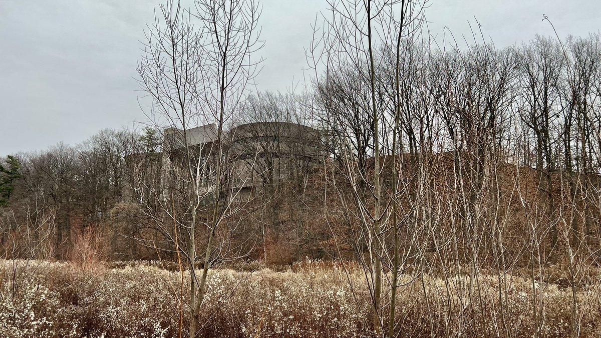 cyclekay's tweet image. Had a great day walking around the ravine looking at the trees and a unique view of  Ontario Science Centre. We need to protect this landmark and nature around it! Thank you @todd_irvine and @floyd_ruskin for wonderful afternoon. @normsworld @ONPlace4All @JoshMatlow  #SaveOSC
