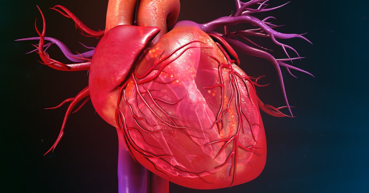 Your resting heart rate is key to your overall health and well-being. When it's lower, your heart pumps more blood with each contraction and easily keeps a regular beat. Ways to lower your heart rate: wb.md/3Nd5s0S