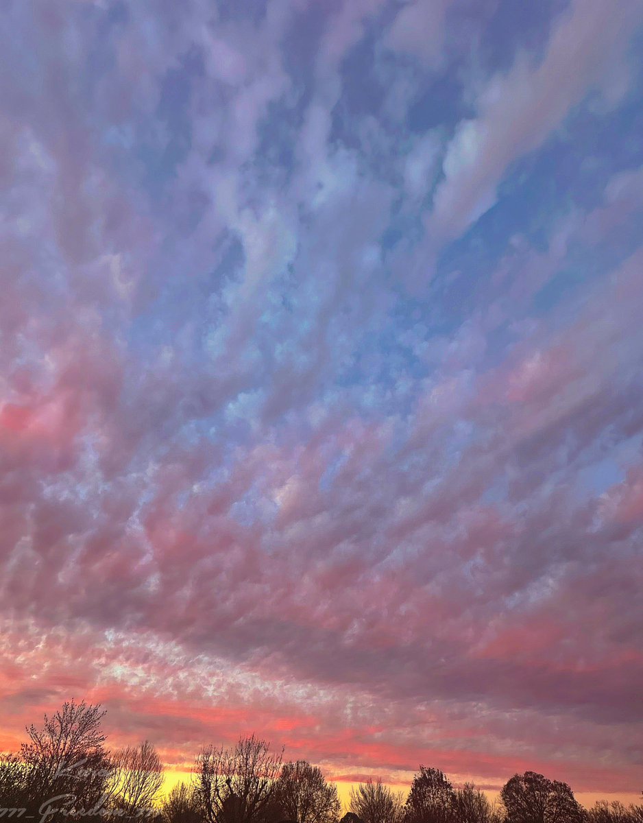 Sunset this evening in western #Arkansas. 🌅 😍