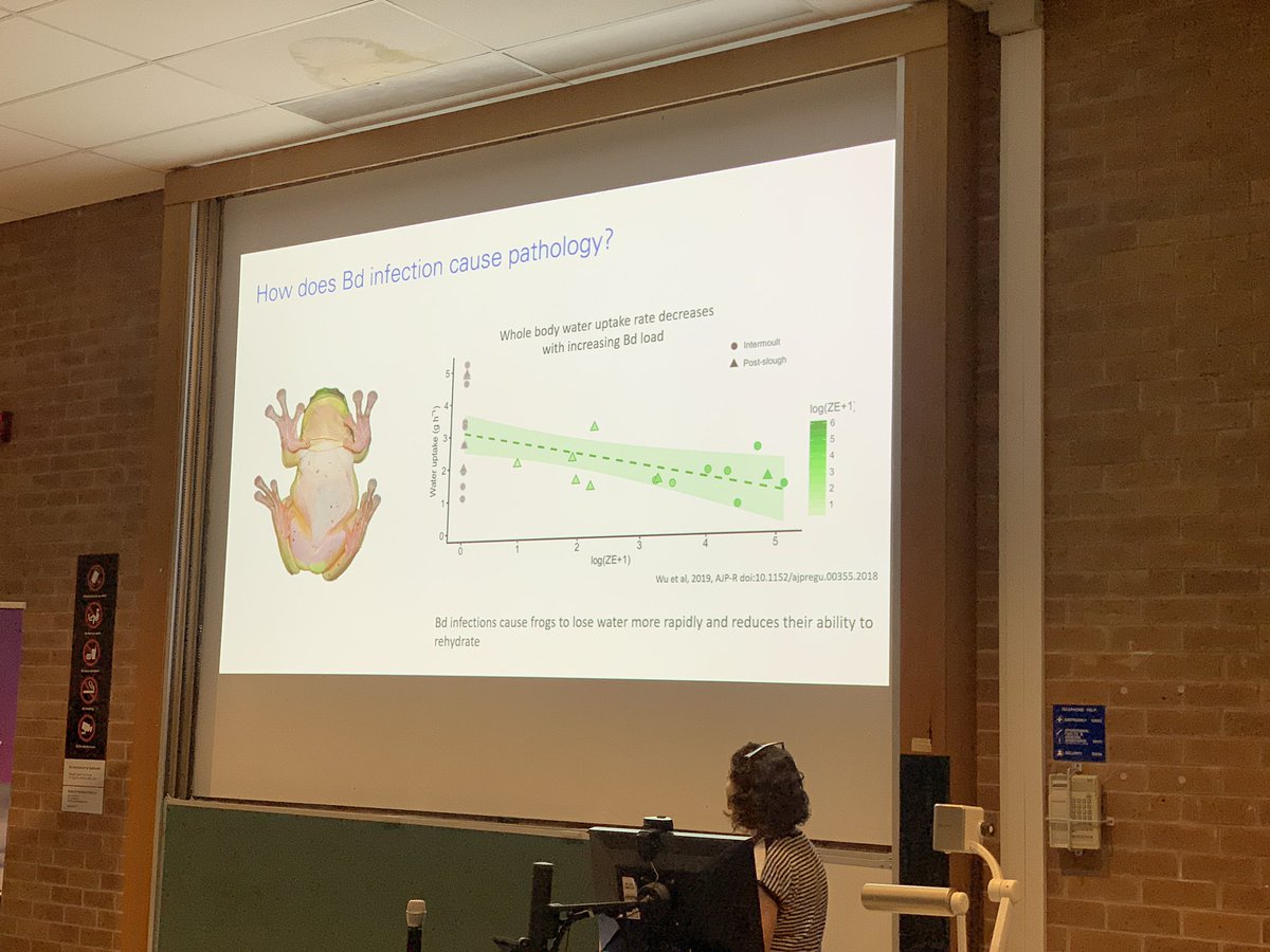 Day 2 #ANZSCPB starts with <a href="/r_cramp/">Rebecca Cramp</a> summarising the groups extensive work on understanding the impacts of #chytrid on Australian frogs