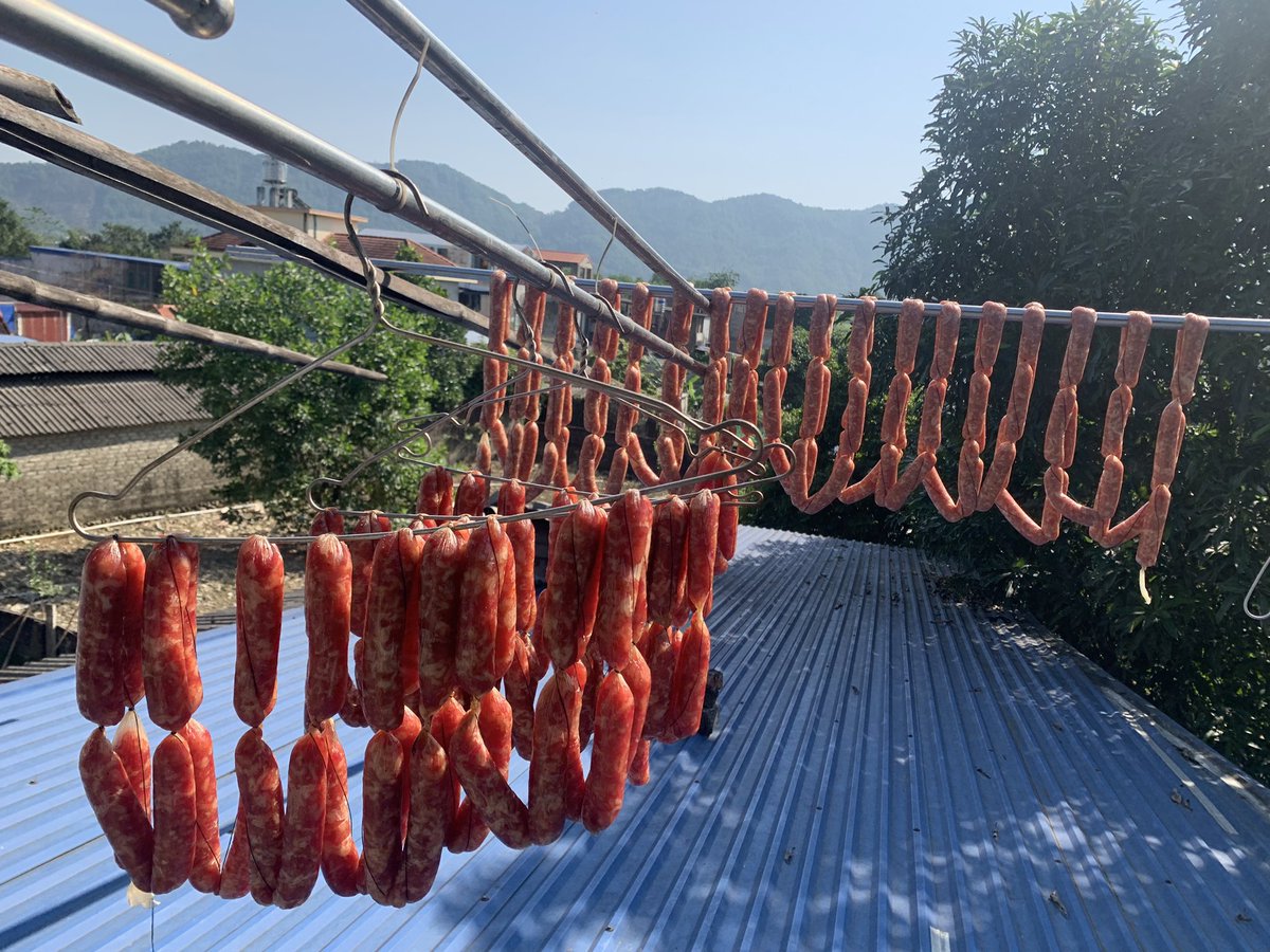 DucKpdttn's tweet photo. Chúc cả nhà buổi sáng vũi vẻ .săn được nhiều cáo nhé https://t.co/5u0VVujaOI