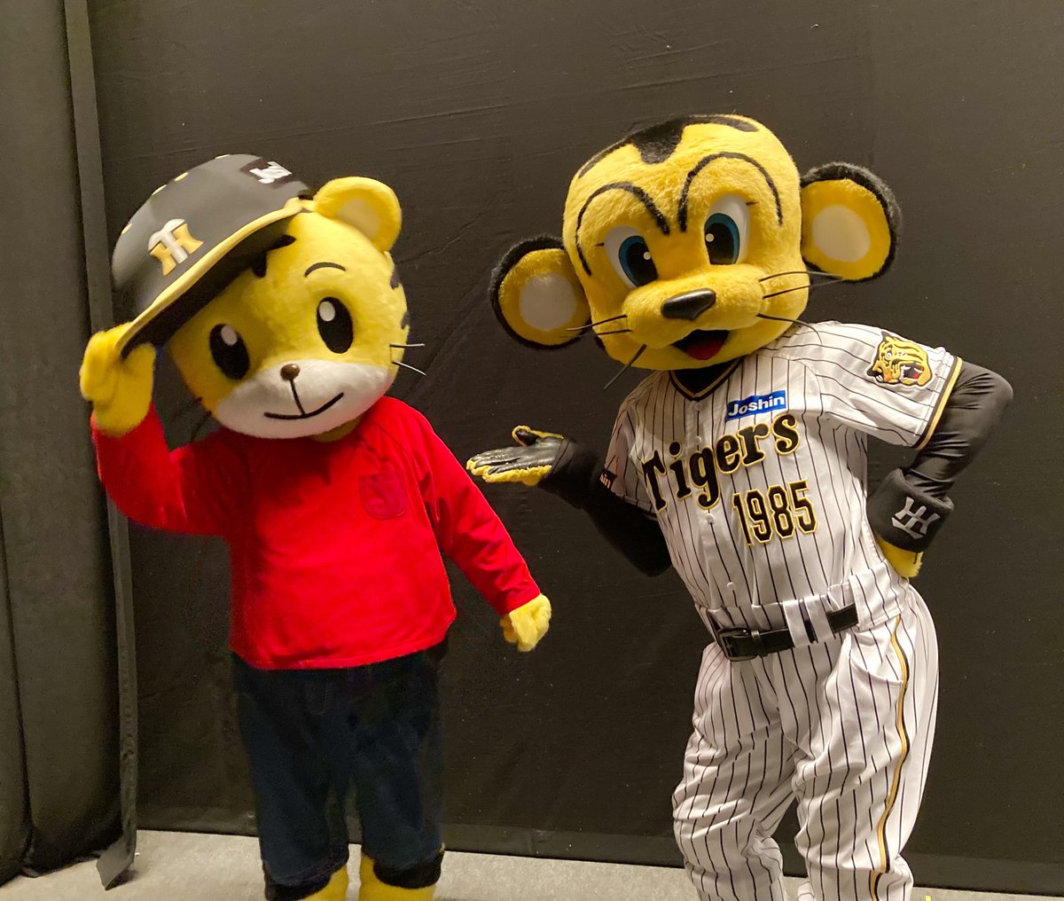 正解は、 阪神タイガースのトラッキーでした！🐯 #しまじろうとバモス