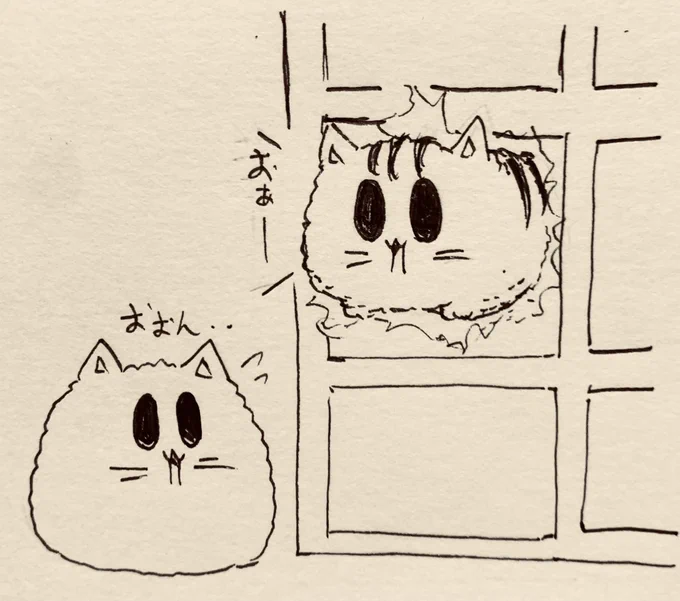 おはようございます🐈 