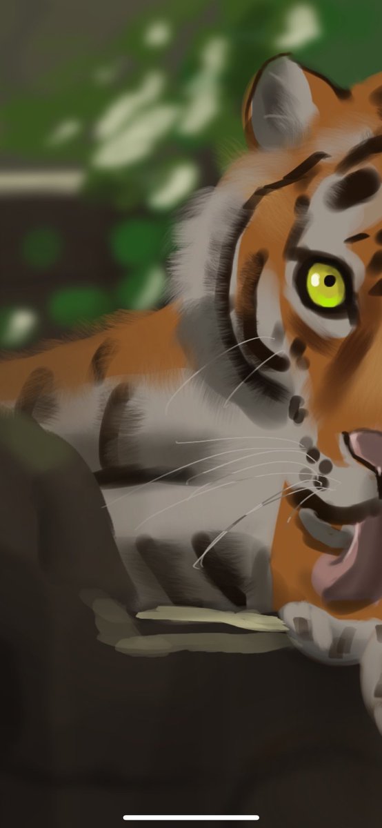 aolsart's tweet photo. 🐅.
.
.
.
.

#procreate #art  #painting #digitalart #digitalpainting #sketchbook #happy #anatomy #anime #animeart #animelofi #illustration #love #photooftheday #artist #animation #figuredrawing #ink #value  #colombia #イラスト #アニメ #画家 #美術 #北海道 https://t.co/1hLBNo08w0