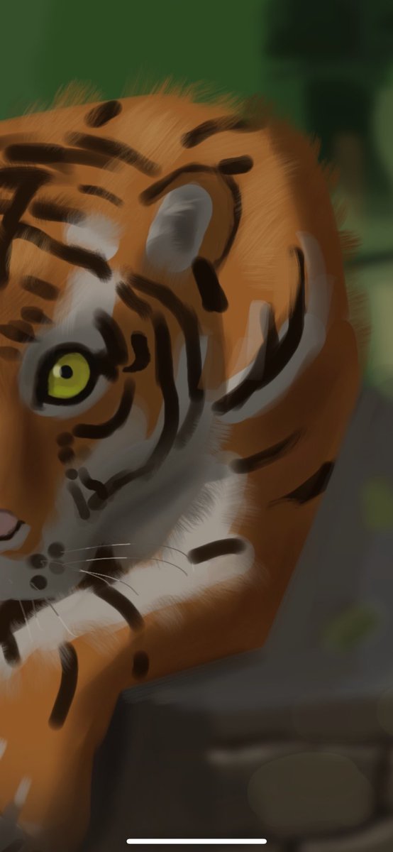 aolsart's tweet photo. 🐅.
.
.
.
.

#procreate #art  #painting #digitalart #digitalpainting #sketchbook #happy #anatomy #anime #animeart #animelofi #illustration #love #photooftheday #artist #animation #figuredrawing #ink #value  #colombia #イラスト #アニメ #画家 #美術 #北海道 https://t.co/1hLBNo08w0