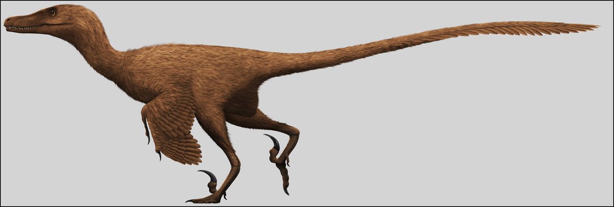 If you could have any prehistoric animal for a pet, which would you choose? My choice would be a Velociraptor (see the attached image if it's visible). #PrehistoricPets #Dinosaurs