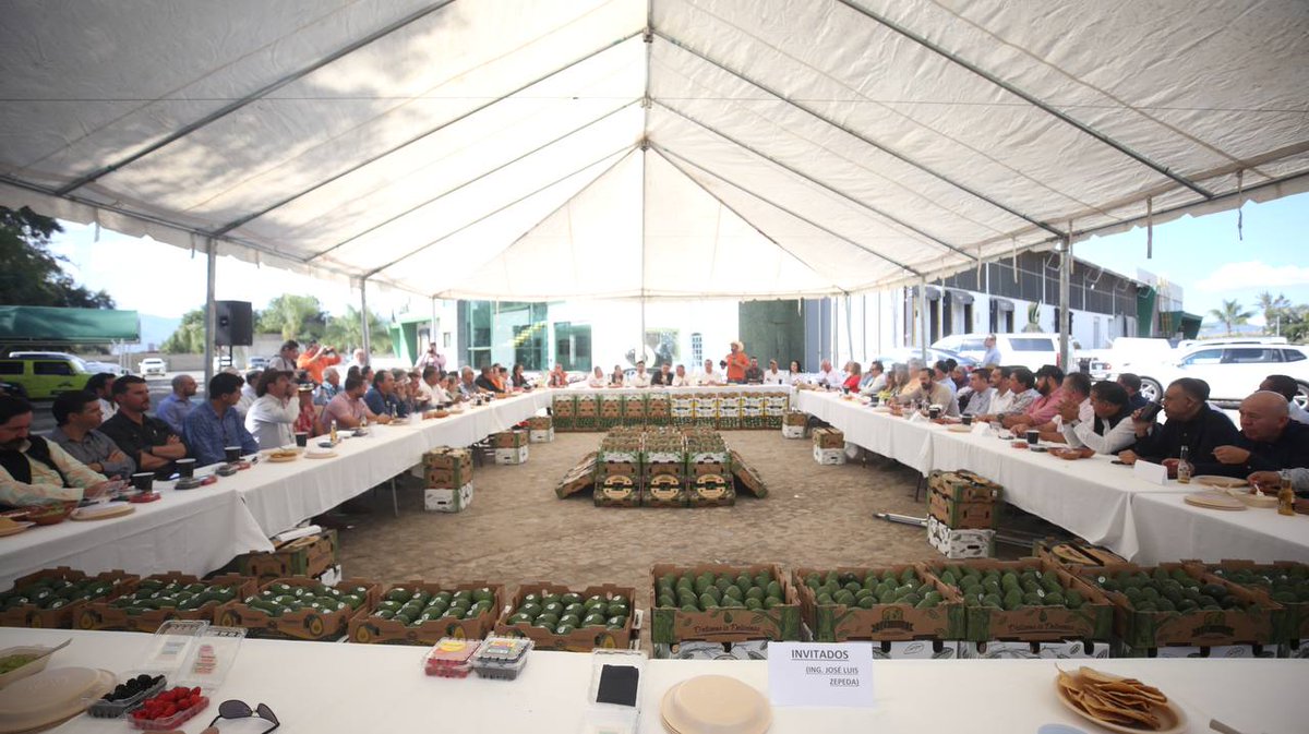 Pablo Lemus Navarro tweet media