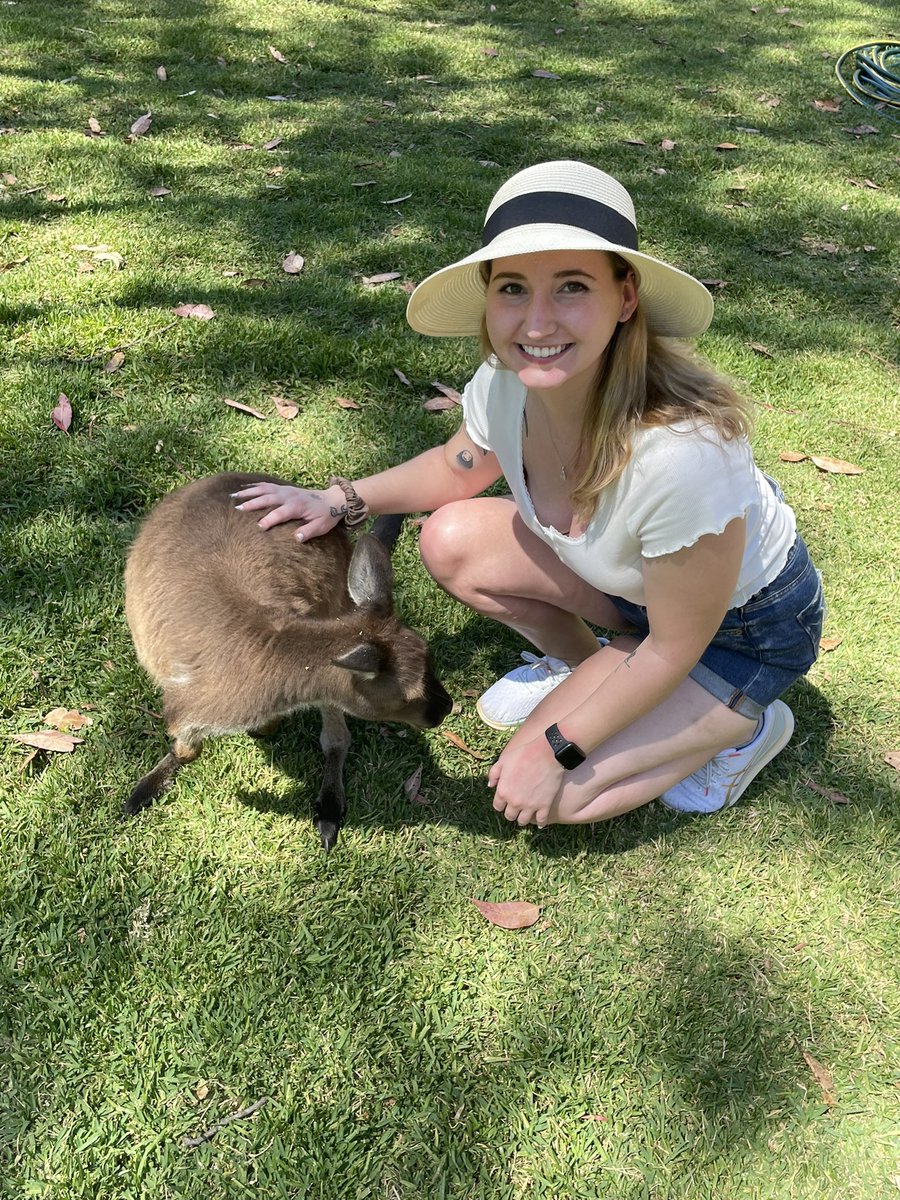 ❤️😊💫 Little Goat
