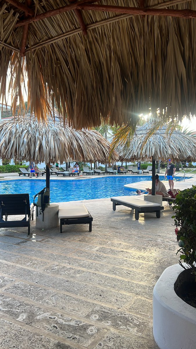 rossanateguia's tweet image. Me enteré recientemente de que esto está pasando en el SunSol de Margarita y yo no lo sabía 😮 me parece importantísimo que lo sepas

Abro hilo 🧵