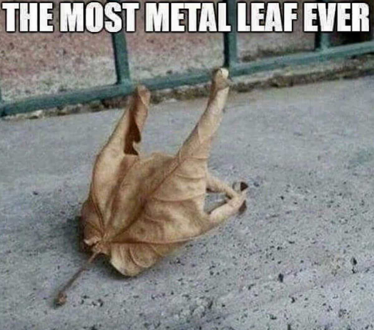 davidcoverdale's tweet photo. 🤟🤟🤟🤟🤟 https://t.co/AzsEsEraVY