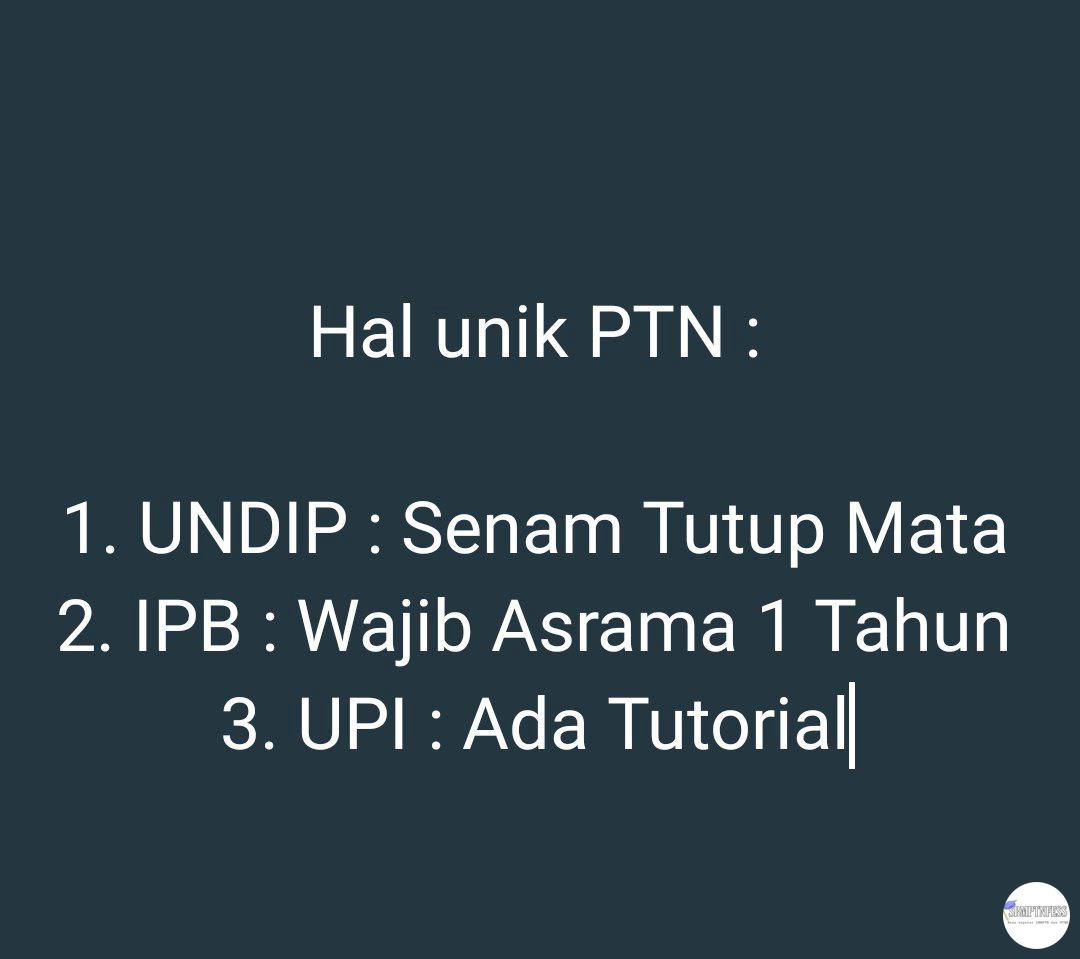 CEK PINNED! tweet media