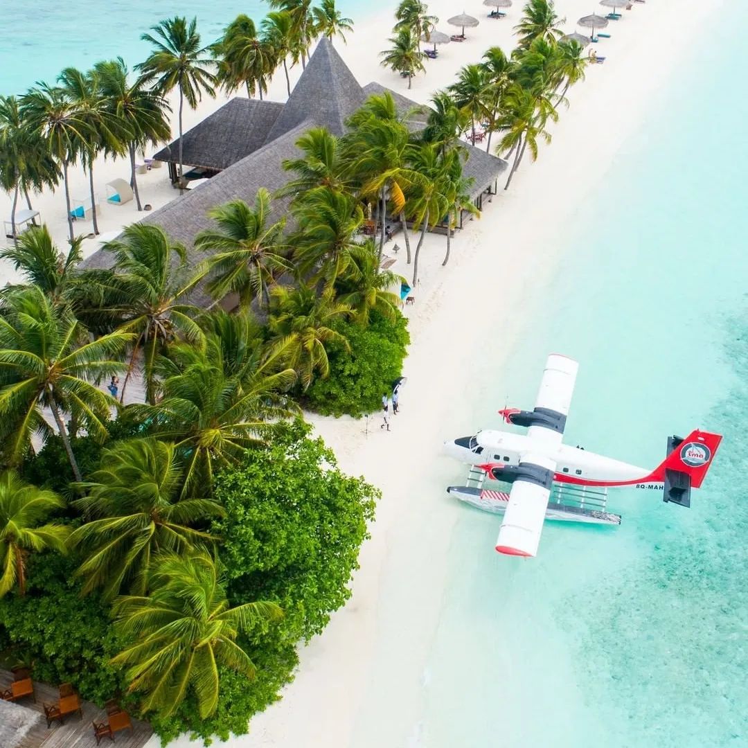 When ⬝you ⬝come ᠎to this ‍world, ﾠyou must ﾞmake ﾞan ﾞeffort to ⬝see ‍more ⬝scenery.