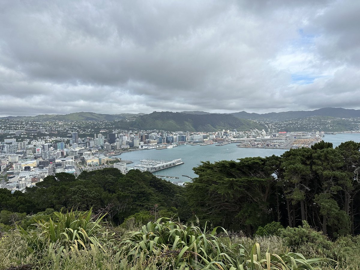 Added few mini-hikes to great discussions at #soac2023 in Wellington,  while presenting with @peymannnnnnnnnn on the initial findings of his PhD.