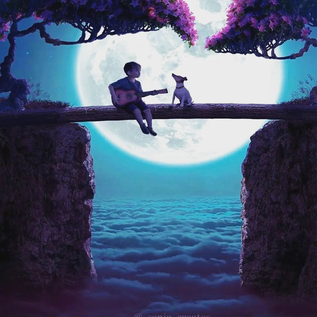 Enjoy ᱸthe ﾠromantic ​moment and  cherish ⳿daily ​life.