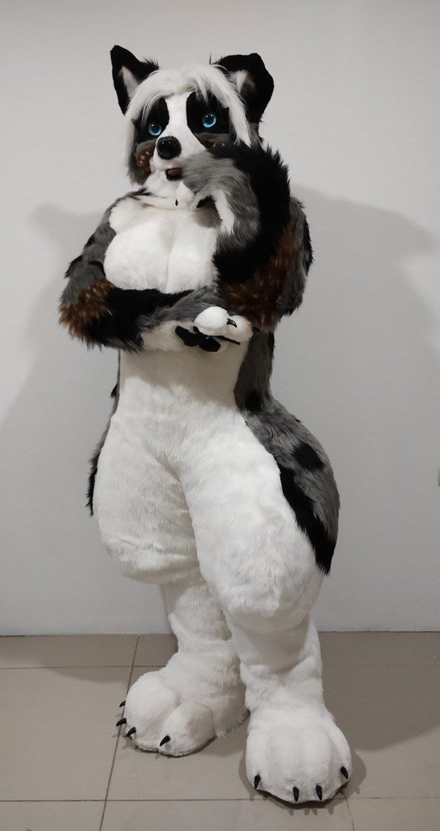 Blue Wolf Studio Fursuit tweet media