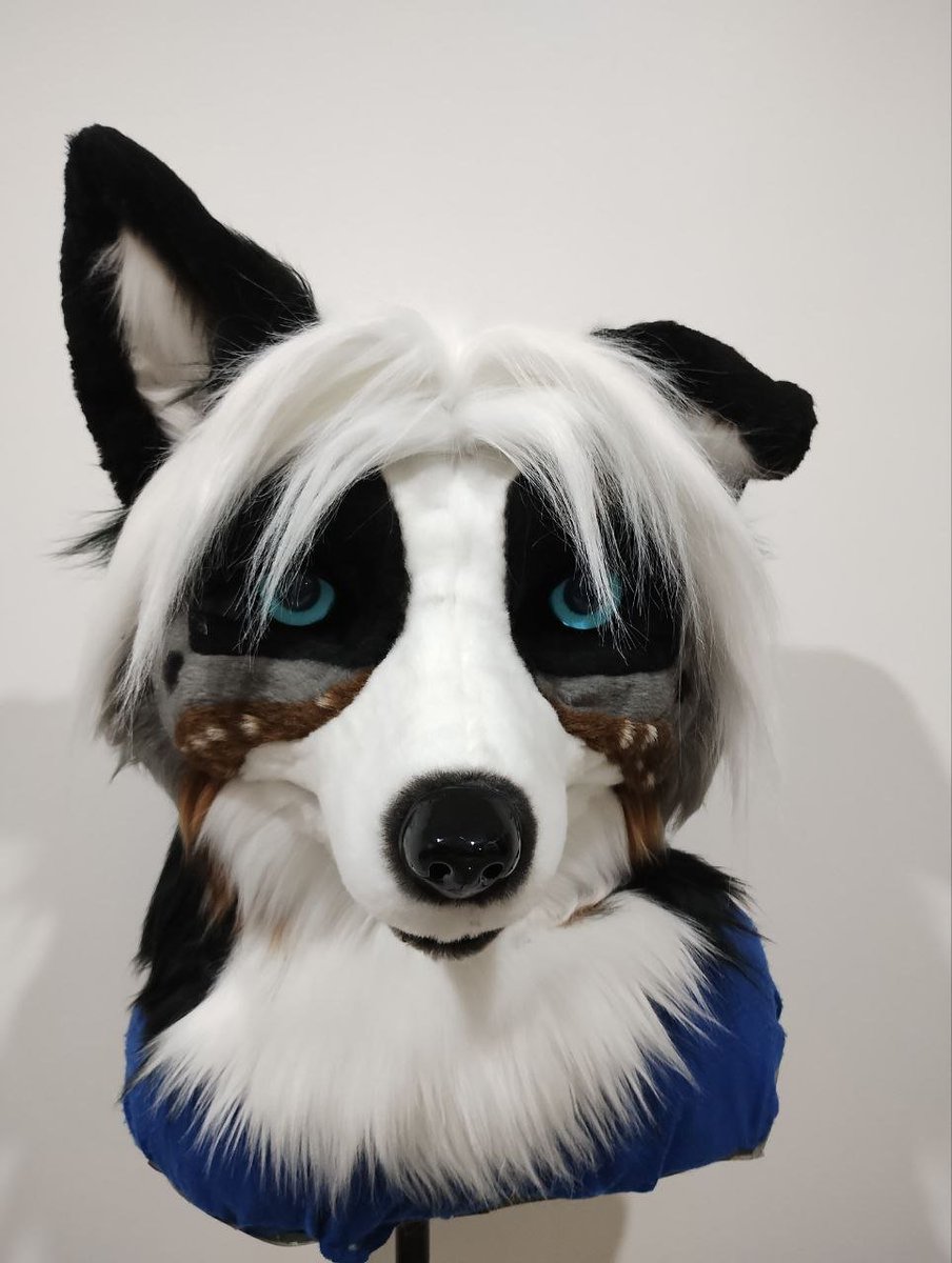 Blue Wolf Studio Fursuit tweet media