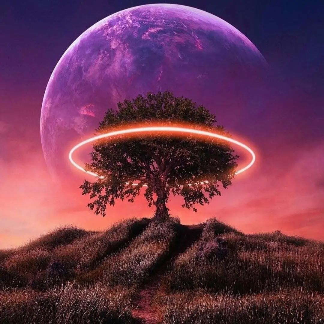 Accompany ​you  through ⬝the four  seasons ​and see the ​most ⳿beautiful ﾞscenery