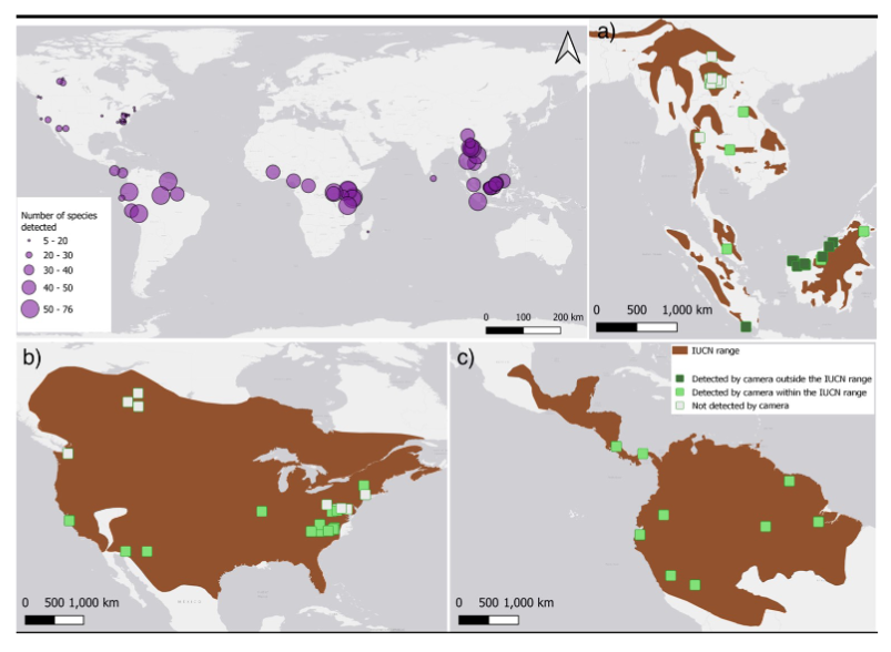 🐾Chen at al recently shared that combining range maps with accumulating data from ground-based #biodiversity sensors provides a knowledge base for #conservation mapping.📷 Read more at doi.org/10.1111/cobi.1…